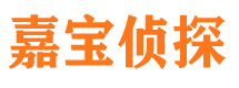 沙坪坝捉小三公司